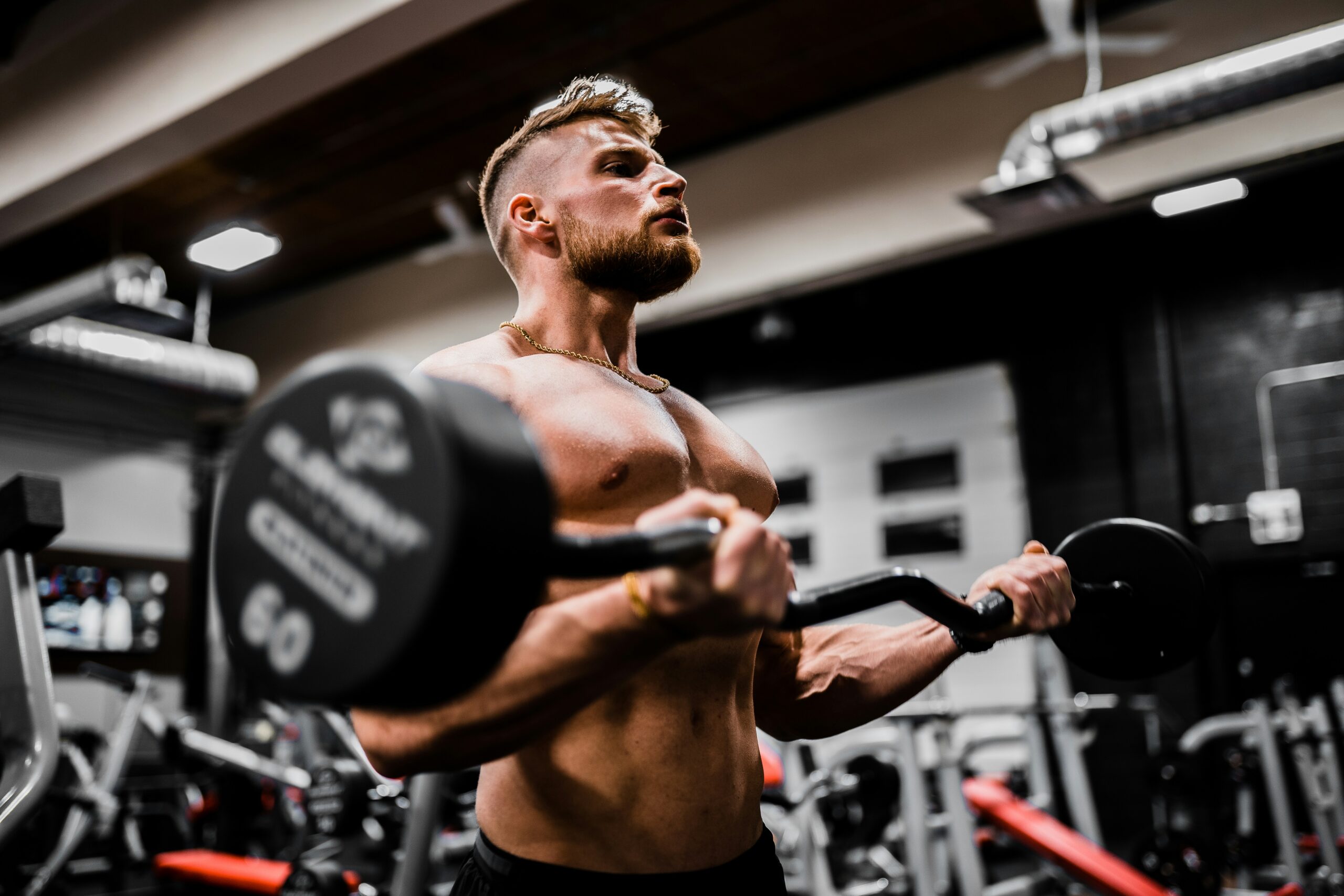 A muscular man lifting heavy dumbbells in a gym, showcasing the strength-building process involved in bulking.